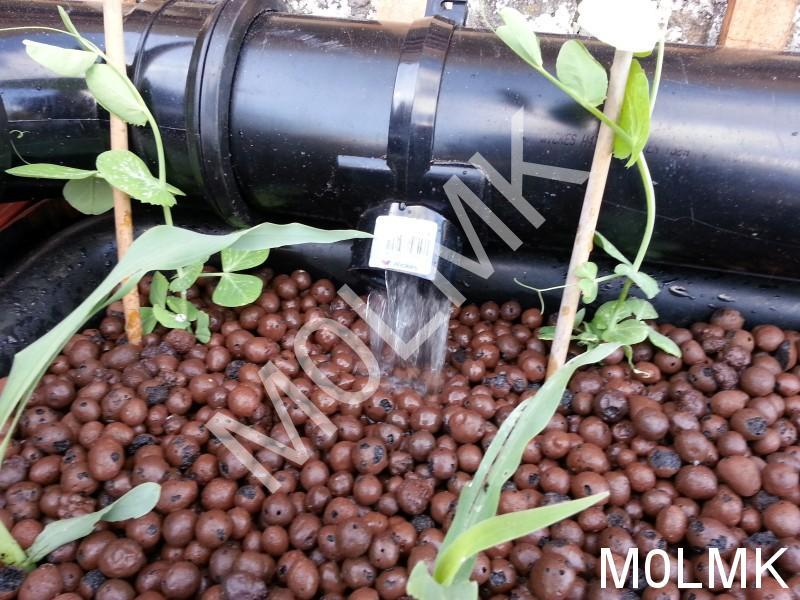 Backyard Aquaponics • View topic - Mattltm's indoor ...